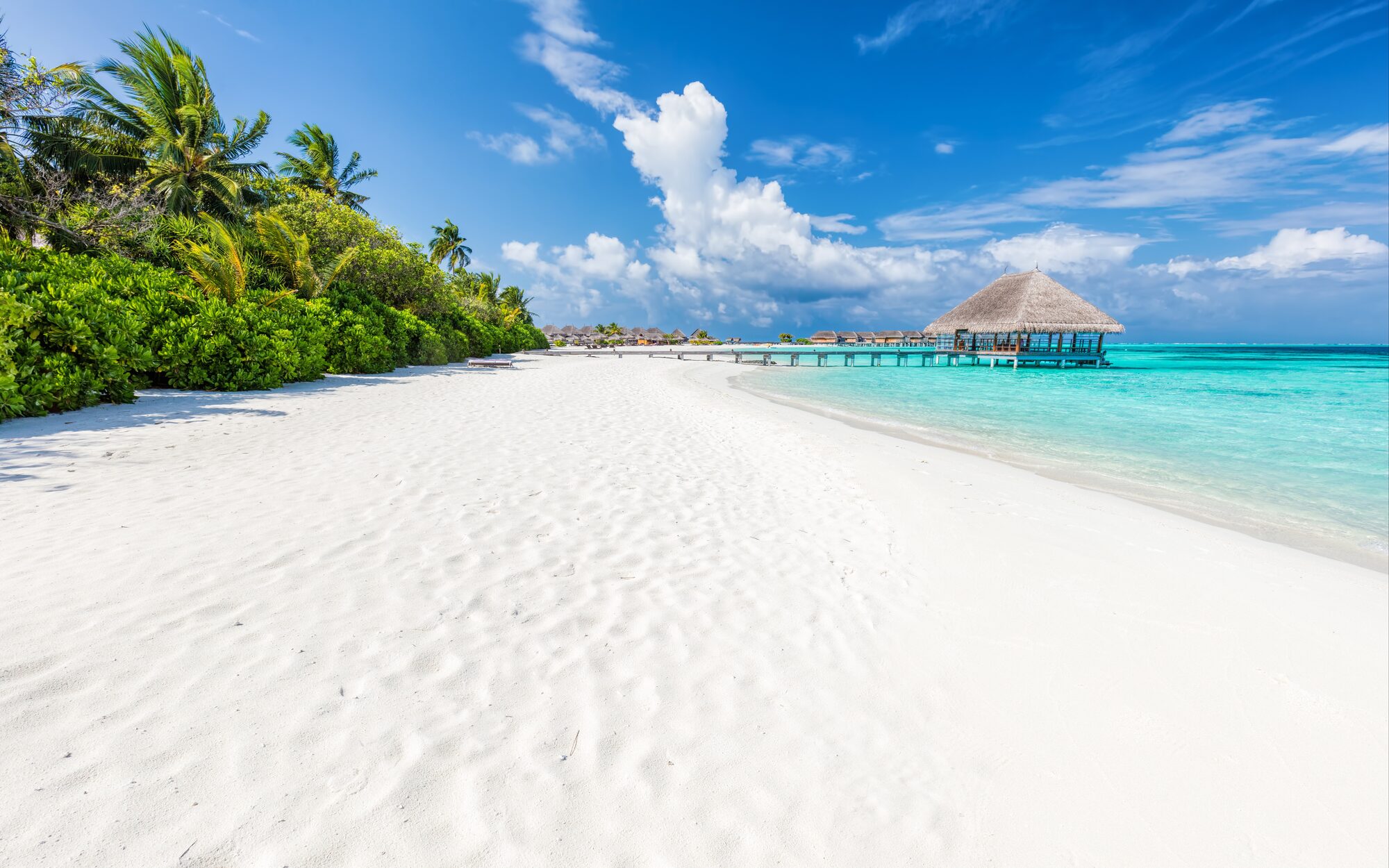 White sand beach in the Maldives